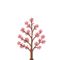 Cherry Tree